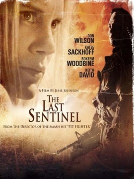 最后的哨兵