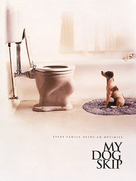 我的小狗斯齐普