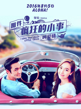 那件疯狂的小事叫爱情
