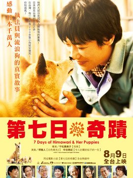 向日葵与幼犬的7天