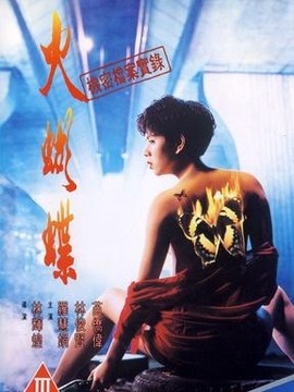 机密档案实录火蝴蝶