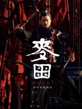 长平大战之麦田