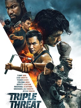 三重威胁之跨国大营救