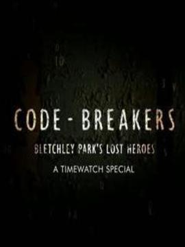 密码破译者：布莱切利庄园的幕后英雄