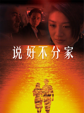 说好不分家