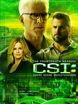 犯罪现场调查第十四季