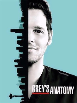 实习医生格蕾第十三季