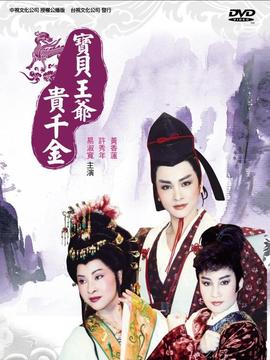 宝贝王爷贵千金