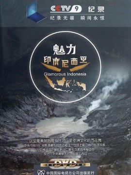 魅力印度尼西亚