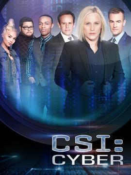 网络犯罪调查第一季