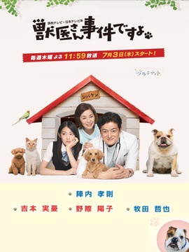 兽医先生，有事件啦