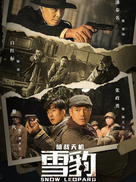 雪豹之暗战天机